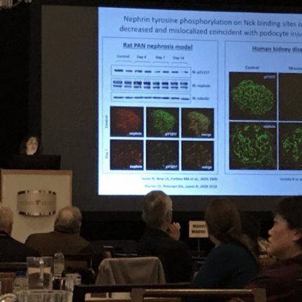 May 31, 2018 — Lab Research Presented at Podocyte Conference